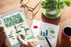 Will it be customised, standard software or the ideal mix?